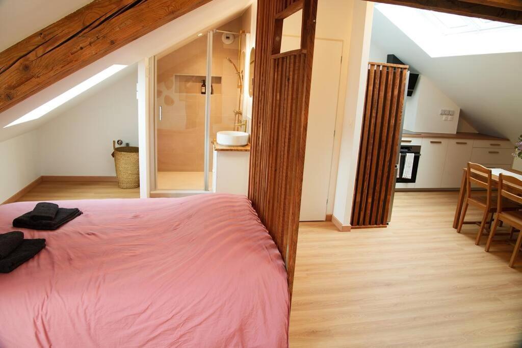 Appartement De Charme A Nancy Ngoại thất bức ảnh